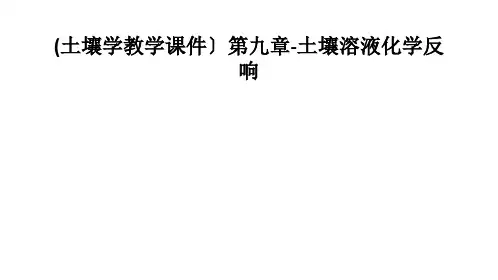 土壤学教学课件第九章土壤溶液化学反应
