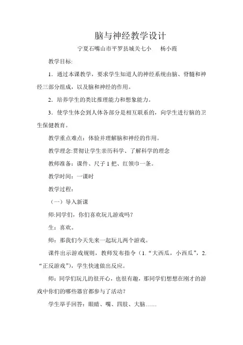 脑与神经 -完整版教学设计