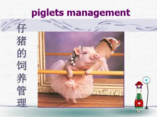 《仔猪的饲养管理》PPT课件