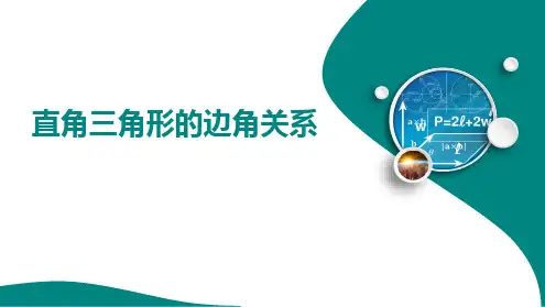 +第二章++直角三角形的边角关系 复习课件 2024-2025学年鲁教版(五四制)数学九年级上册+