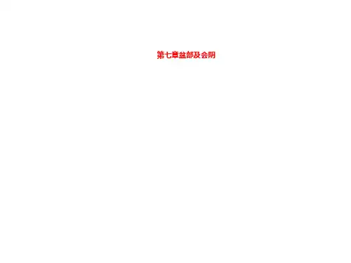 第七章盆部及会阴