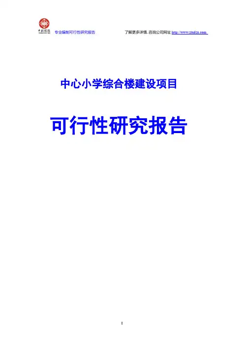 中心小学综合楼建设项目可行性研究报告