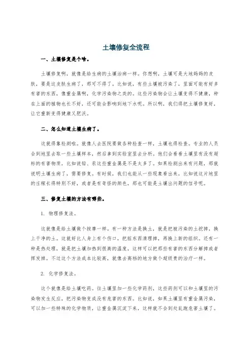 土壤修复全流程