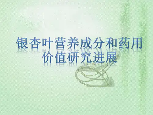 银杏叶