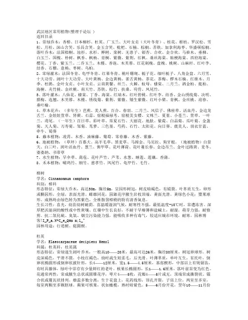 武汉地区常用植物