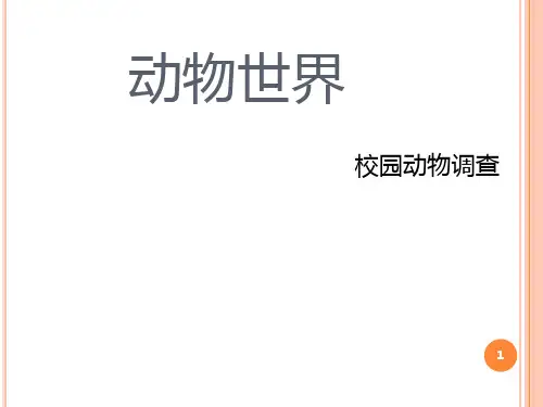 动物世界PPT课件