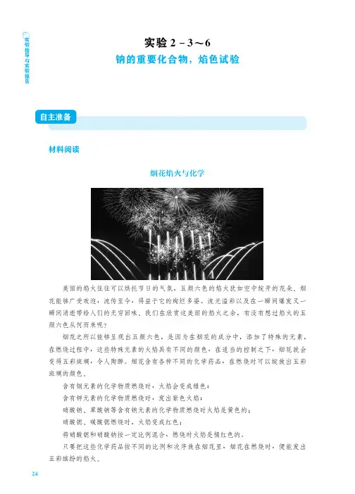 人教版高中化学必修一《钠的重要化合物,焰色试验》实验报告