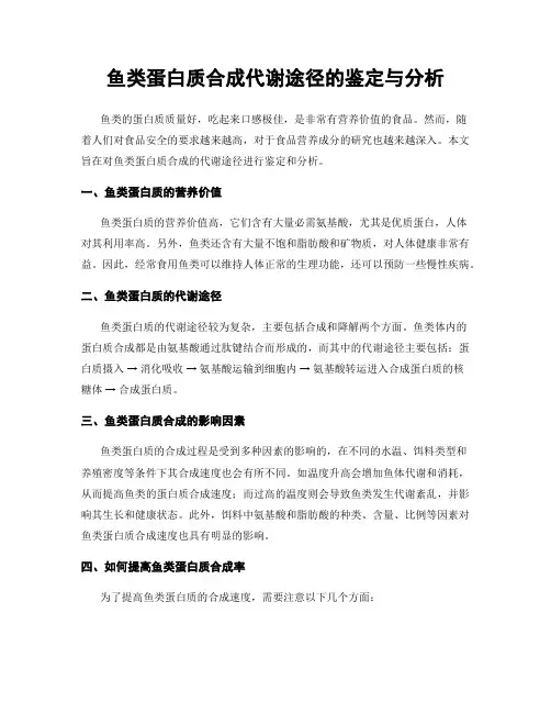 鱼类蛋白质合成代谢途径的鉴定与分析