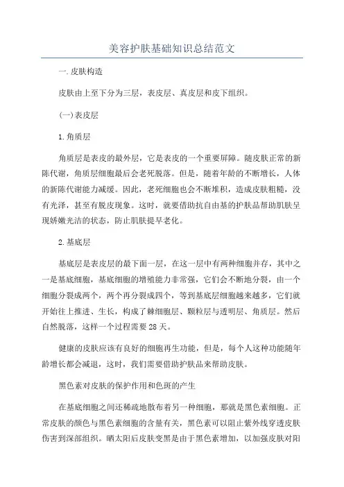 美容护肤基础知识总结范文