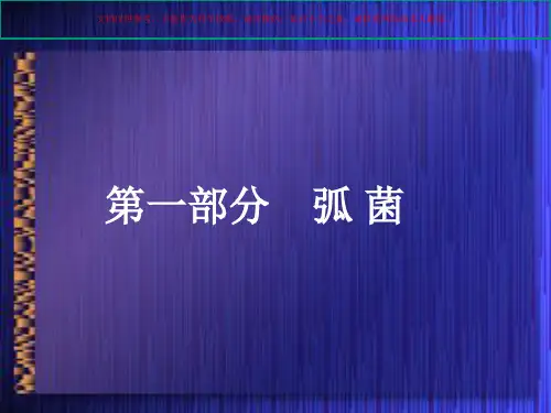 病原性真菌检验临床微生物学专业知识培训课件
