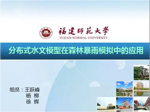 分布式水文模型在森林暴雨模拟中的应用PPT课件