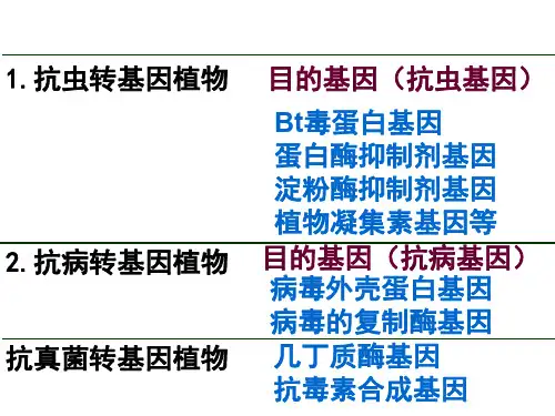 高二生物基因工程的应用