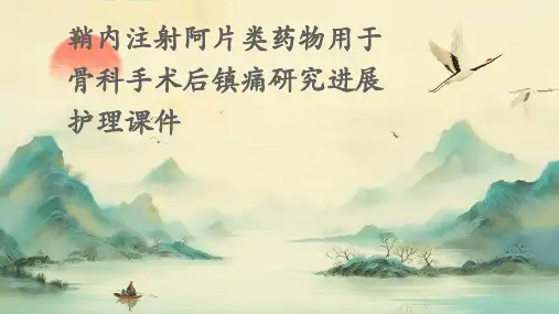 鞘内注射阿片类药物用于骨科手术后镇痛研究进展护理课件