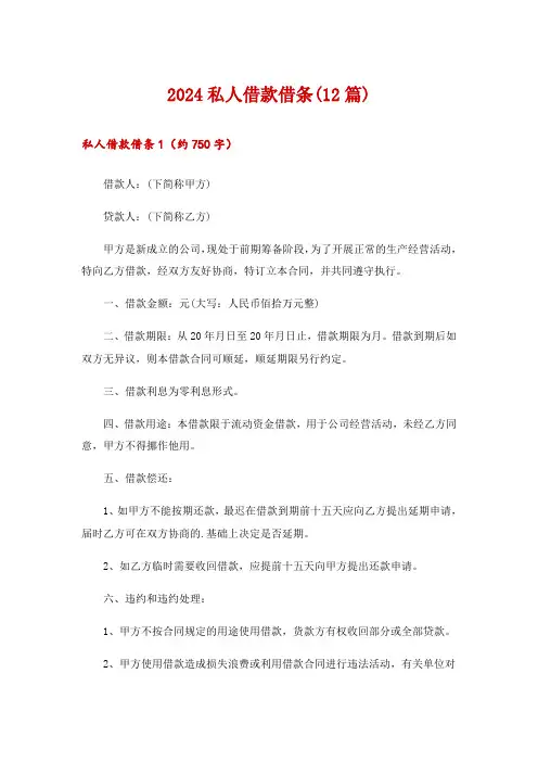 2024私人借款借条(12篇)