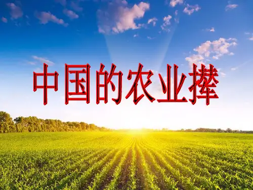区域地理-中国的农业(公开课)