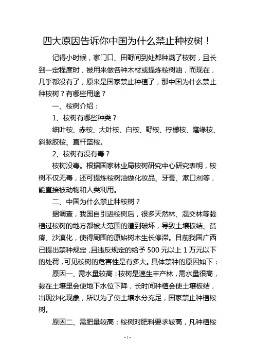 四大原因告诉你中国为什么禁止种桉树!