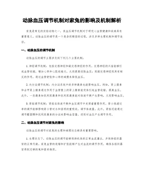 动脉血压调节机制对家兔的影响及机制解析