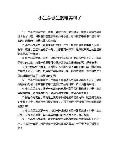 小生命诞生的唯美句子