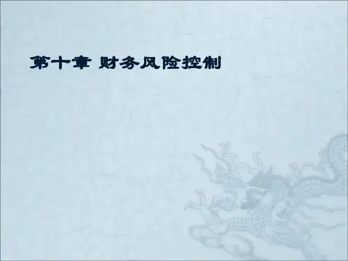 财务风险控制ppt课件