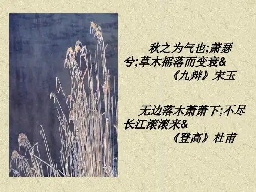 《故都的秋》ppt课件(29页)