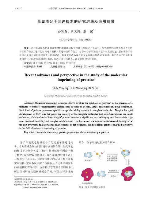 蛋白质分子印迹技术的研究进展及应用前景