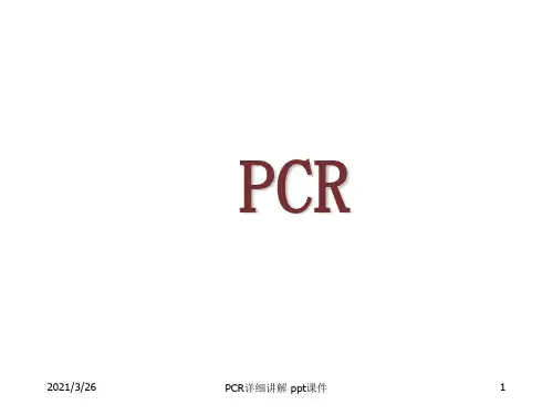 PCR详细讲解 ppt课件