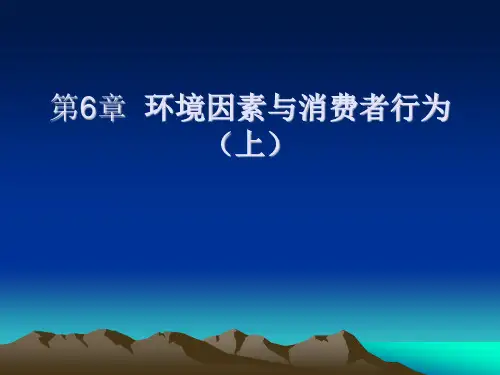第六章  环境因素与消费者行为  《消费者行为学》