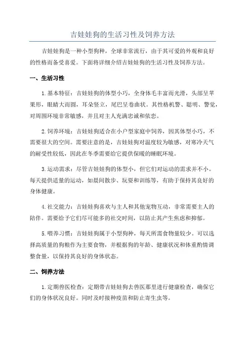 吉娃娃狗的生活习性及饲养方法