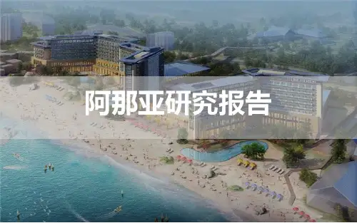 阿那亚研究 