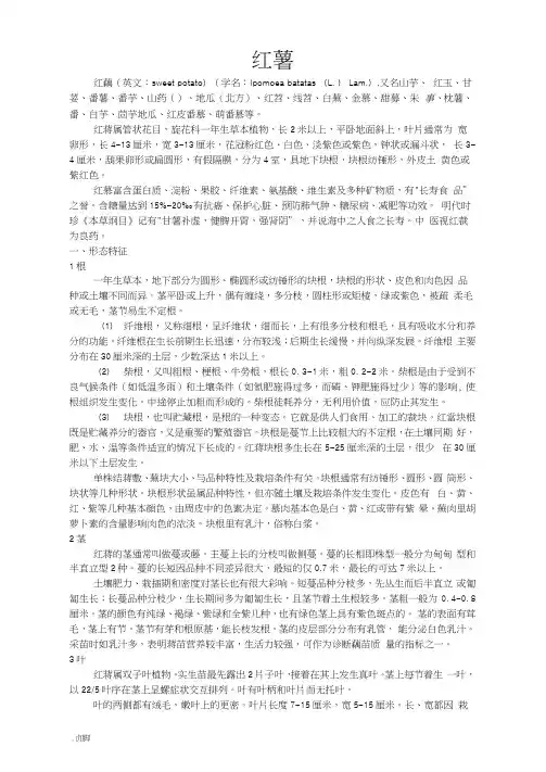红薯种植技术及病虫害防治