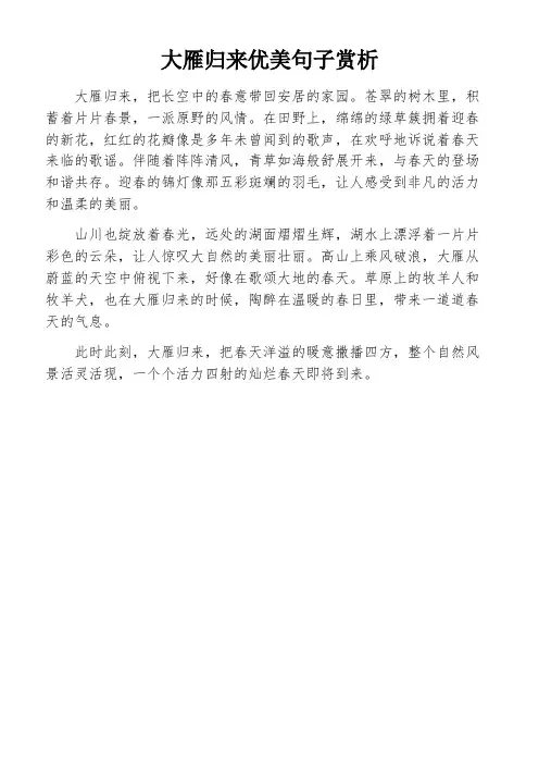 大雁归来优美句子赏析