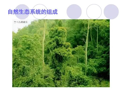 城市生态系统