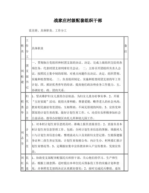 村级配套组织干部花名册(1)
