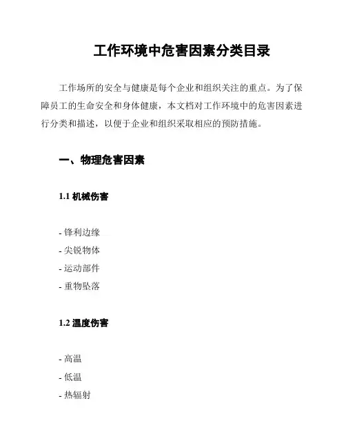 工作环境中危害因素分类目录