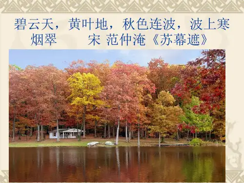 人教部编版八年级语文上册课件：12唐诗五首—野望 (共10张PPT)