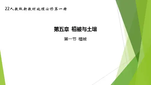 22人教版新教材地理必修第一册课件--植被