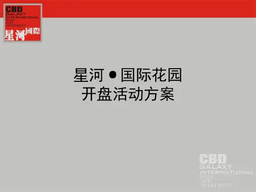 某地产楼盘开盘方案