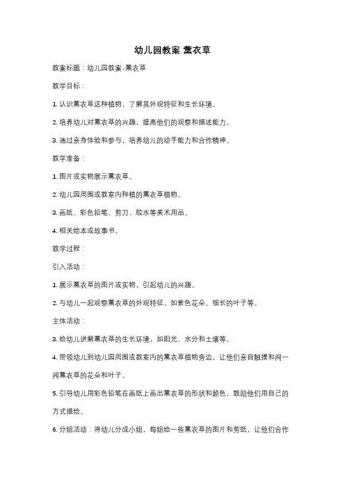 幼儿园教案 薰衣草