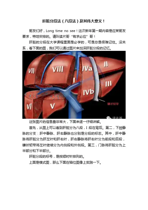 肝脏分段法（八段法）及其伟大意义！