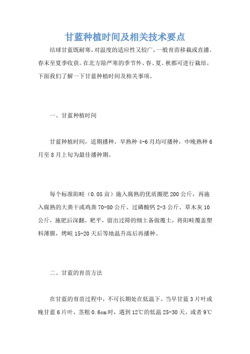 甘蓝种植时间及相关技术要点
