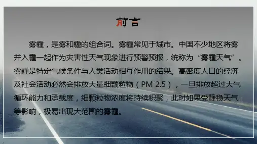 治理雾霾预防雾霾环保宣传PPT专题演示