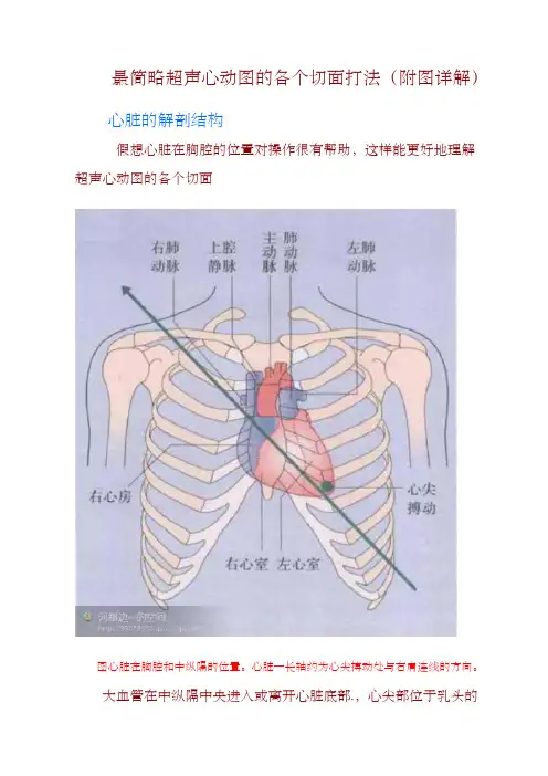 最简略超声心动图地各个切面打法
