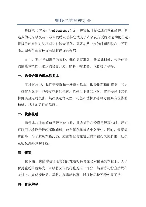 蝴蝶兰的育种方法