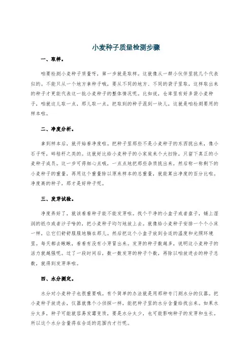 小麦种子质量检测步骤