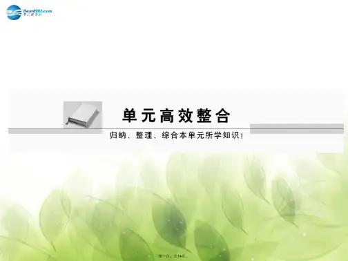 高中生物 第七章 现代生物进化理论单元高效整合课件 新人教版必修2