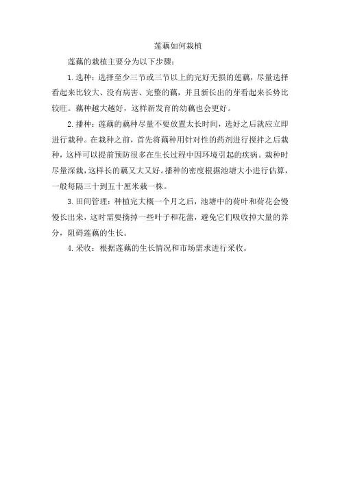 莲藕如何栽植