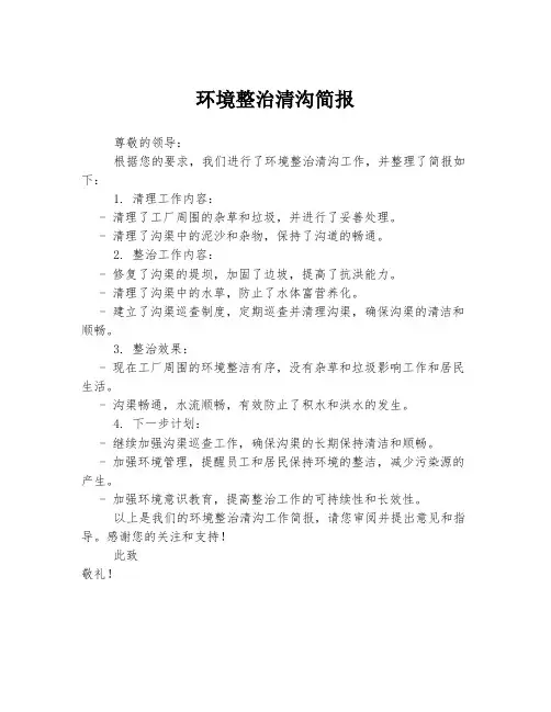 环境整治清沟简报