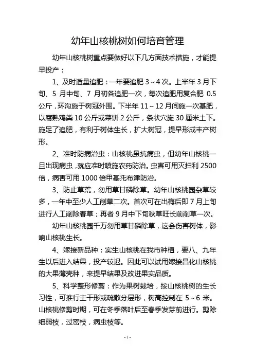 幼年山核桃树如何培育管理