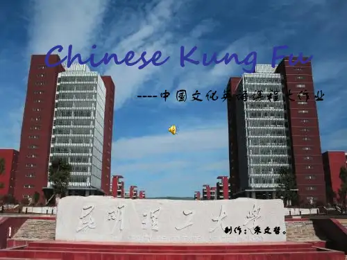 关于中国功夫的PPT