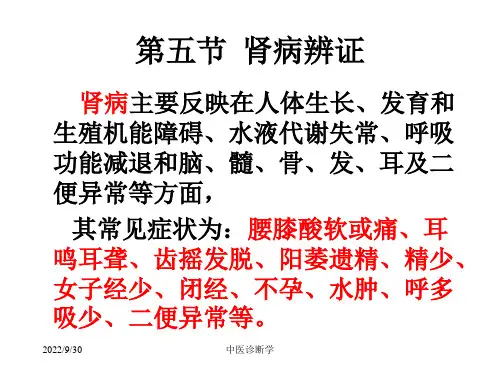 中医诊断学--脏腑辨证